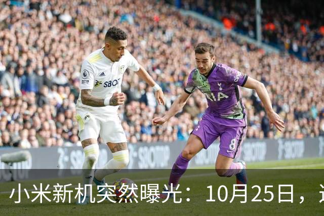 小米新机突然曝光：10月25日，这配置有点意思